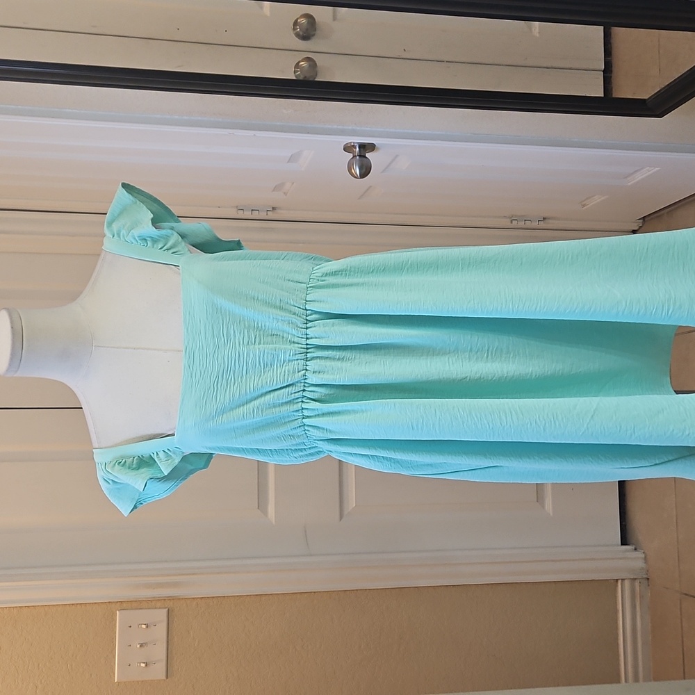 Dry Goods Lola Grace Mint Empire Waist Mini Dress with Flutter Sleeves Size L